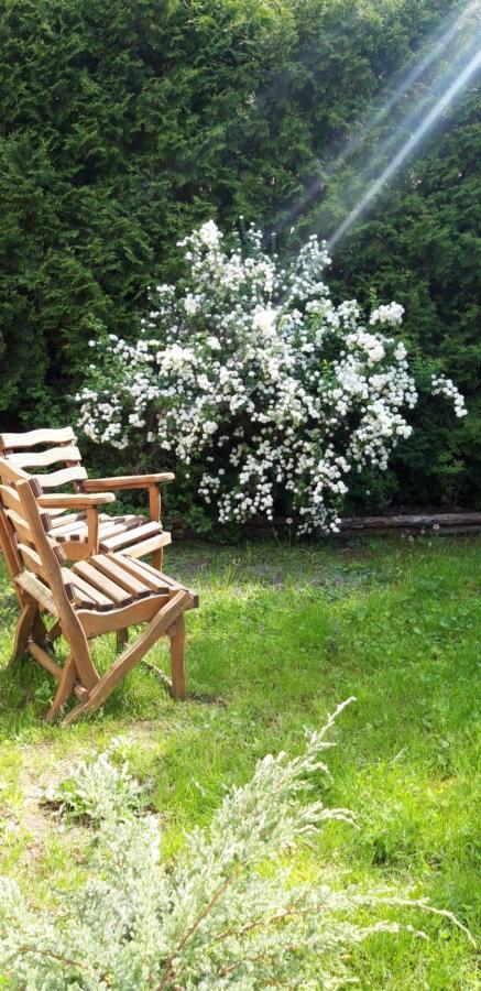 Apartament Ego Sum Apartament Sandomierz Zewnętrze zdjęcie